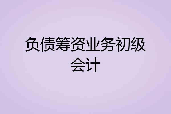 负债筹资业务初级会计