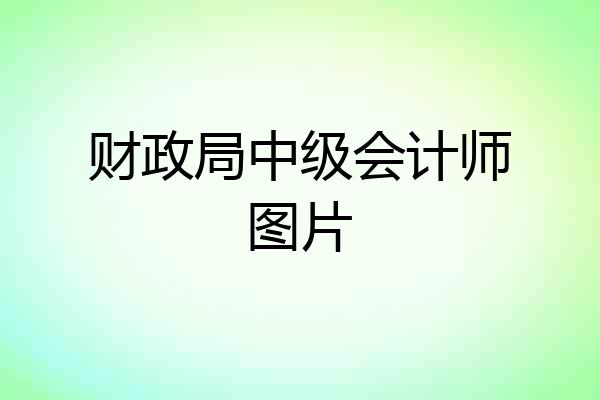 财政局中级会计师图片