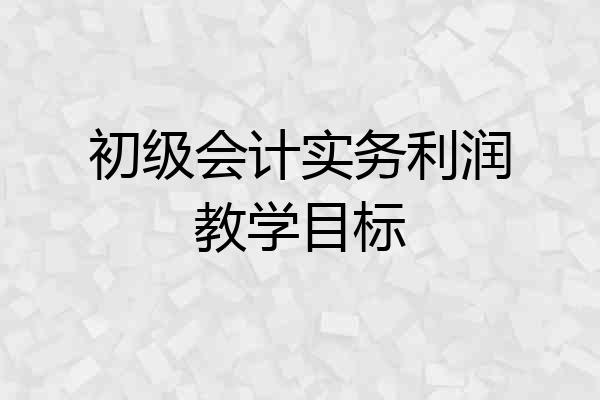 初级会计实务利润教学目标