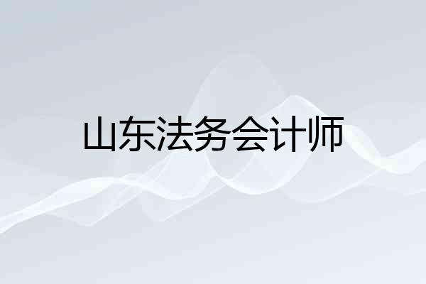 山东法务会计师
