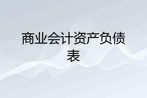 商业会计资产负债表