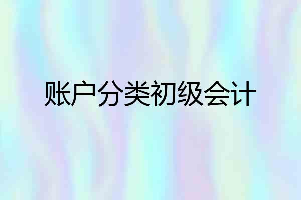 账户分类初级会计