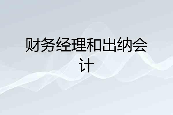 财务经理和出纳会计