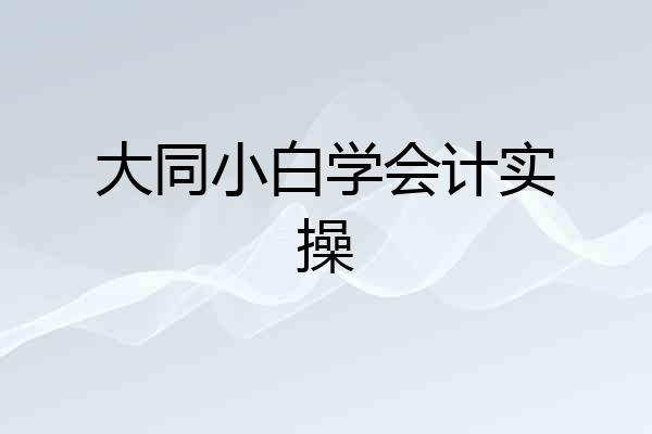 大同小白学会计实操
