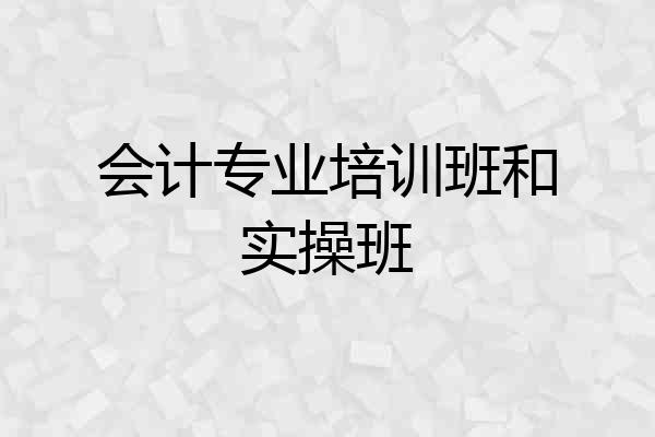 会计专业培训班和实操班