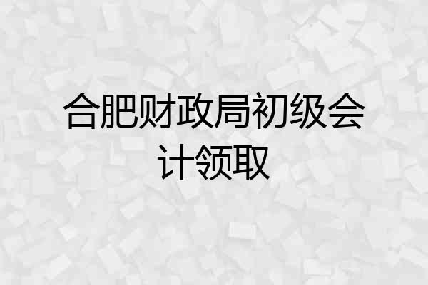 合肥财政局初级会计领取