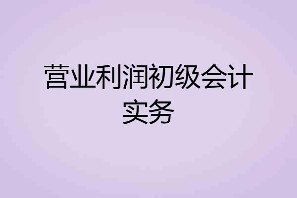 营业利润初级会计实务