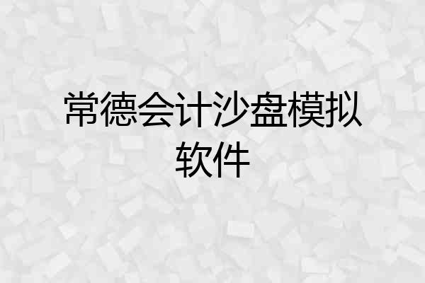 常德会计沙盘模拟软件