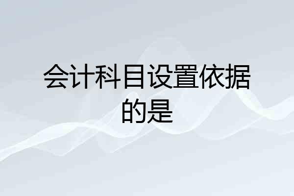 会计科目设置依据的是