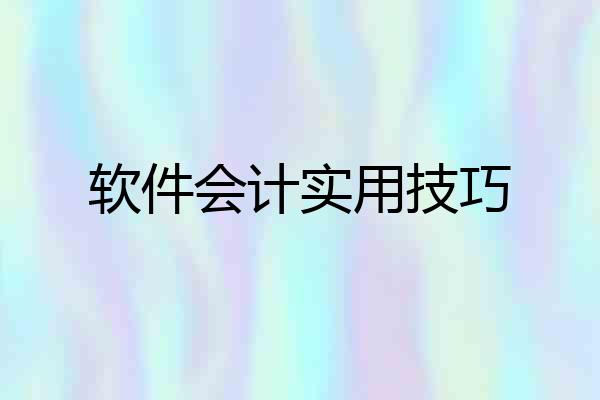 软件会计实用技巧