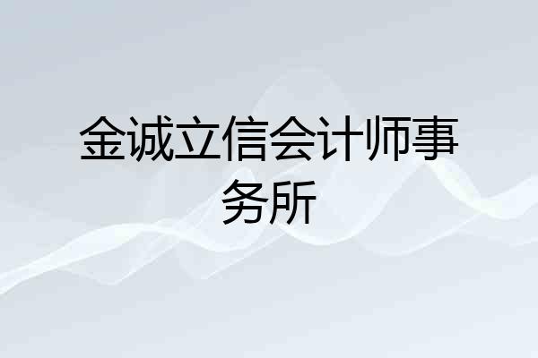 金诚立信会计师事务所