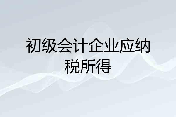 初级会计企业应纳税所得