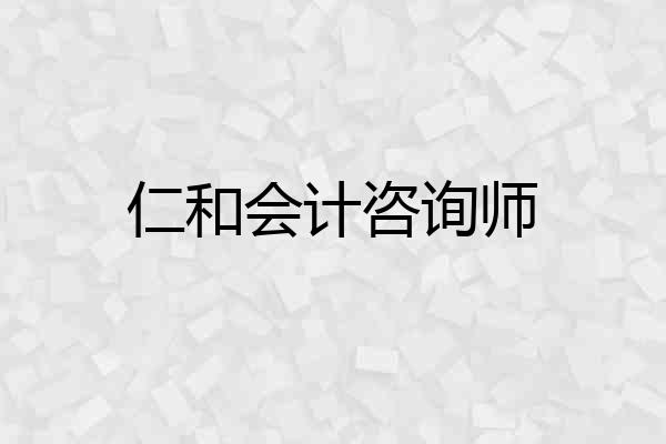仁和会计咨询师
