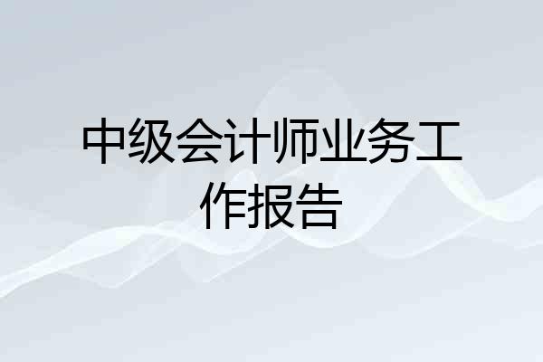 中级会计师业务工作报告