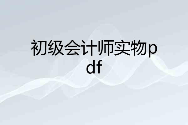 初级会计师实物pdf