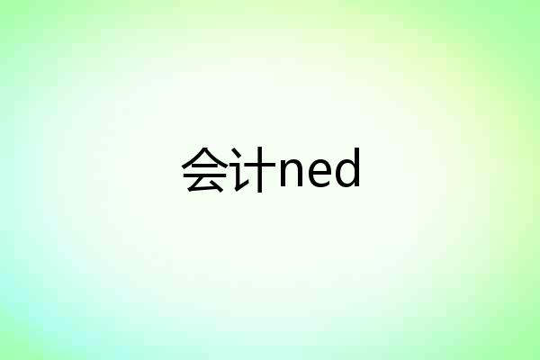 会计ned