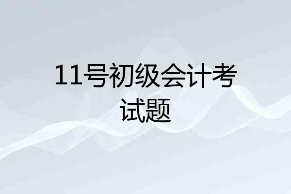11号初级会计考试题