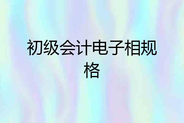 初级会计电子相规格