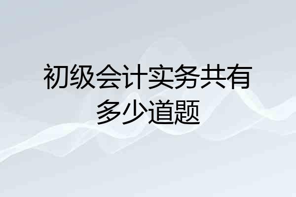 初级会计实务共有多少道题