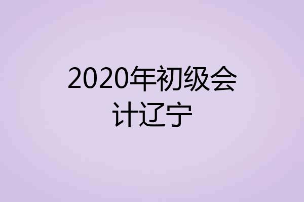 2020年初级会计辽宁