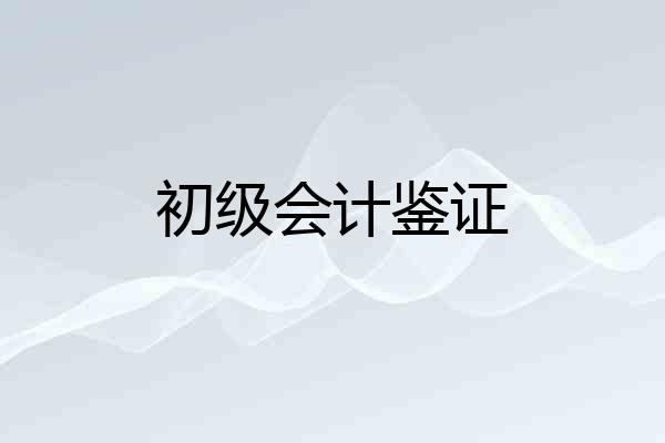初级会计鉴证