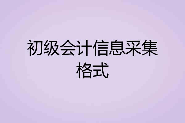 初级会计信息采集格式