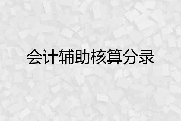 会计辅助核算分录