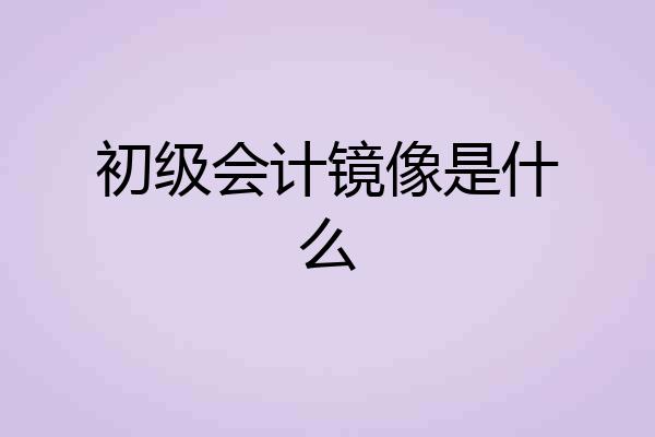 初级会计镜像是什么
