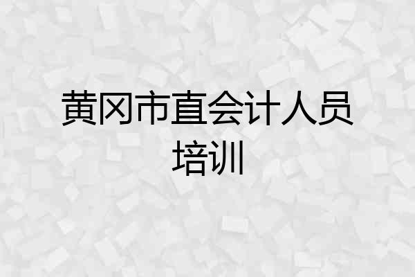 黄冈市直会计人员培训