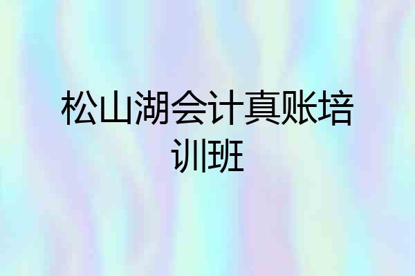 松山湖会计真账培训班