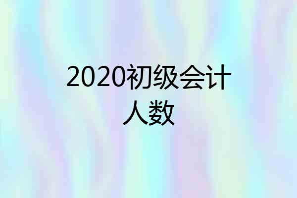 2020初级会计人数