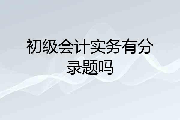 初级会计实务有分录题吗