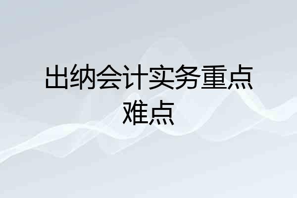 出纳会计实务重点难点