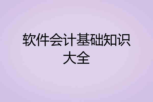 软件会计基础知识大全