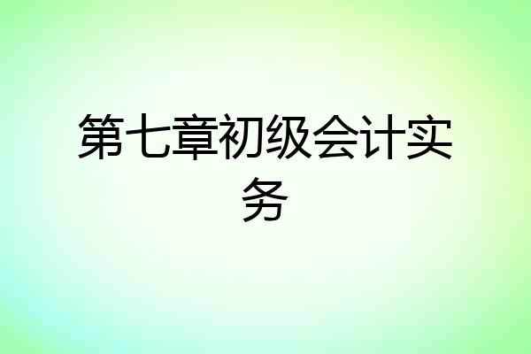 第七章初级会计实务