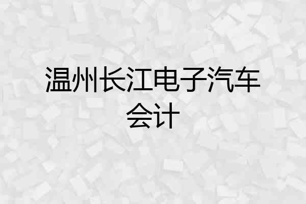 温州长江电子汽车会计