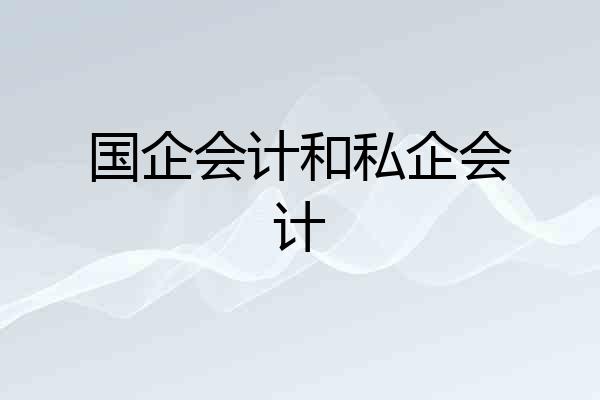 国企会计和私企会计