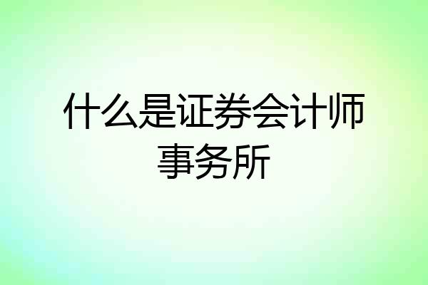 什么是证券会计师事务所