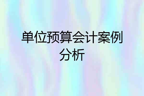 单位预算会计案例分析