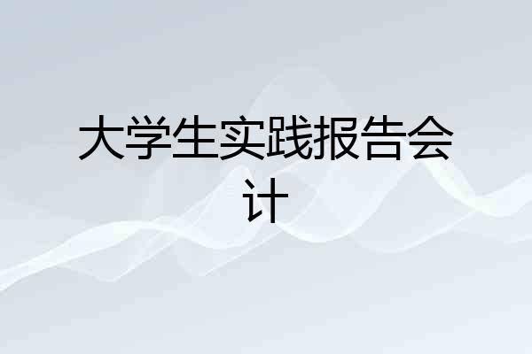 大学生实践报告会计