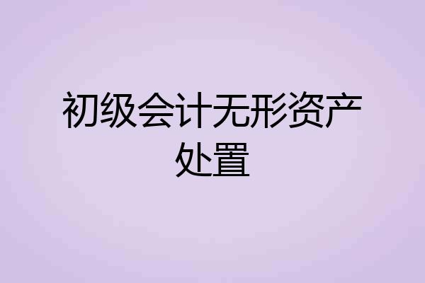 初级会计无形资产处置