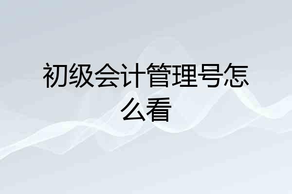 初级会计管理号怎么看