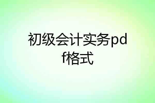 初级会计实务pdf格式