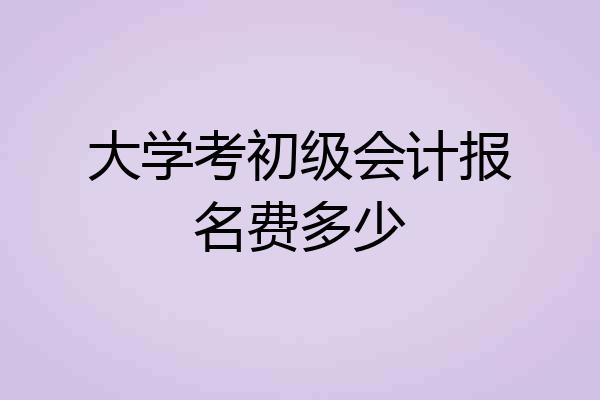 大学考初级会计报名费多少