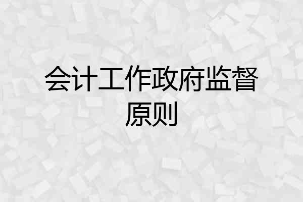 会计工作政府监督原则