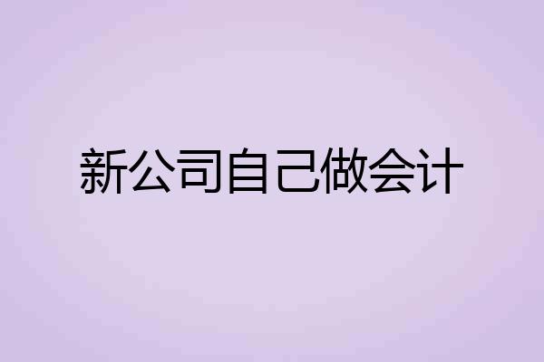 新公司自己做会计