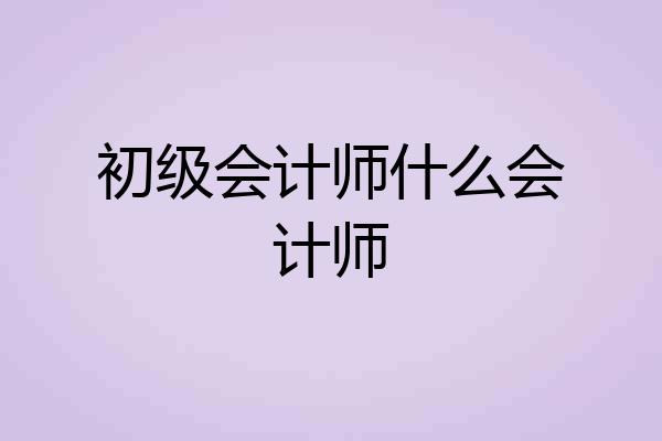 初级会计师什么会计师