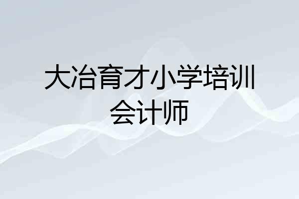 大冶育才小学培训会计师