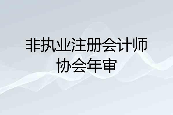 非执业注册会计师协会年审