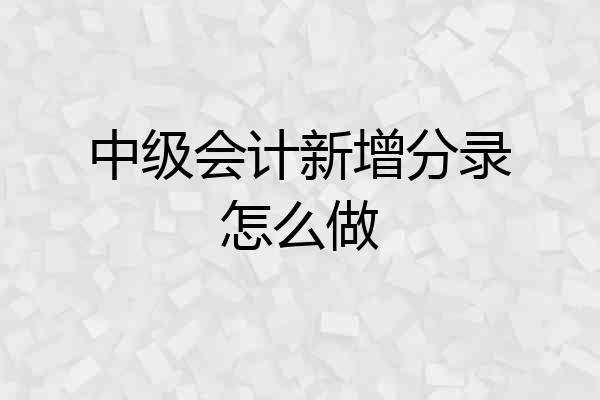 中级会计新增分录怎么做